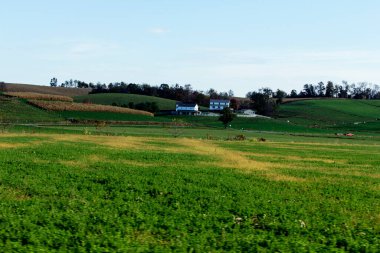 Sonbaharda Holmes County, Ohio 'da kırsal araziler
