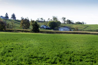 Sonbaharda Holmes County, Ohio 'da kırsal araziler