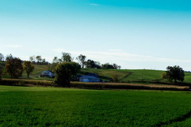 Sonbaharda Holmes County, Ohio 'da kırsal araziler