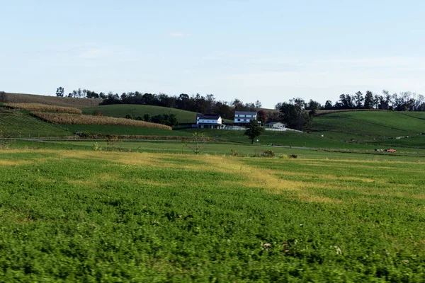 Sonbaharda Holmes County, Ohio 'da kırsal araziler