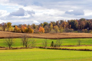 Rolling Hills Tarım Alanı Sonbaharda, Holmes County, Ohio