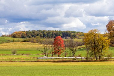 Rolling Hills Tarım Alanı Sonbaharda, Holmes County, Ohio