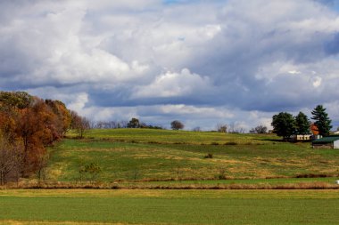 Rolling Hills Tarım Alanı Sonbaharda, Holmes County, Ohio