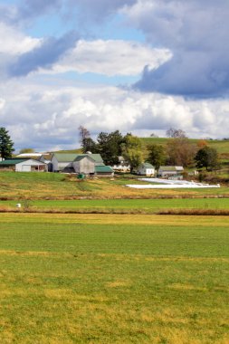 Sonbaharda Rolling Hills Tarım Arazisi, Holmes County, Ohio