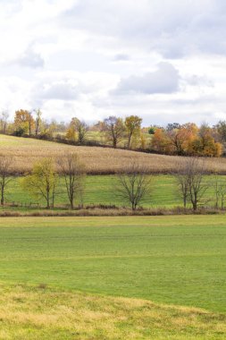 Sonbaharda Rolling Hills Tarım Arazisi, Holmes County, Ohio