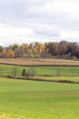 Sonbaharda Rolling Hills Tarım Arazisi, Holmes County, Ohio