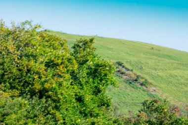 Otoyoldan Görülen Bir Fıçı Görünümü
