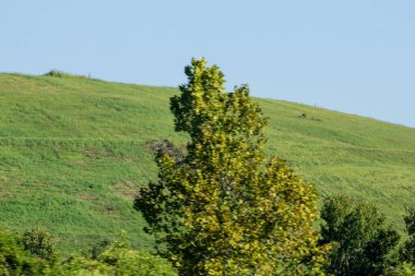 Otoyoldan Görülen Bir Fıçı Görünümü
