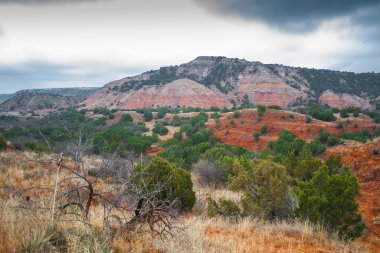 Palo Duro Eyalet Parkı, Teksas