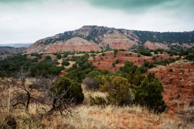 Palo Duro Eyalet Parkı, Teksas
