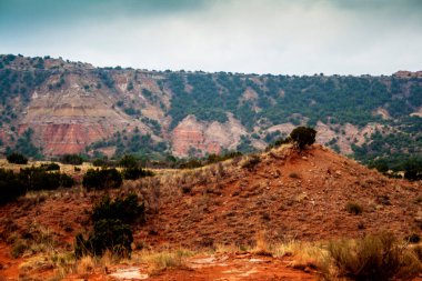 Palo Duro Eyalet Parkı, Teksas