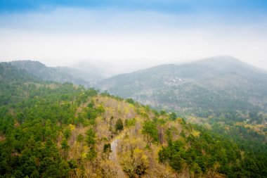 Hot Springs Ulusal Parkı, Arkansas