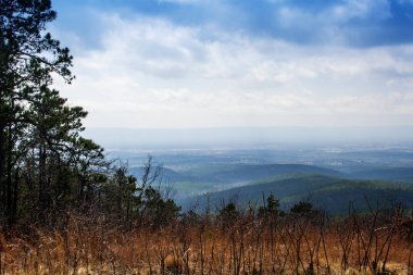 Talimena Sahne Sürücüsünden Görüntüler