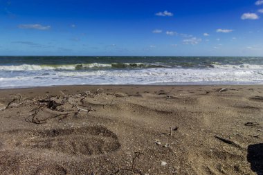 Plajda güneşli bir gün, Fort Pierce, Florida