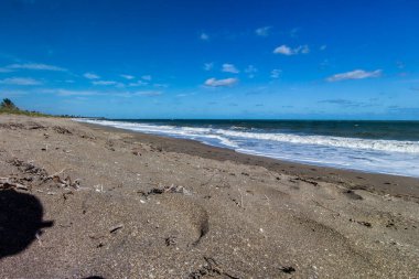Plajda güneşli bir gün, Fort Pierce, Florida