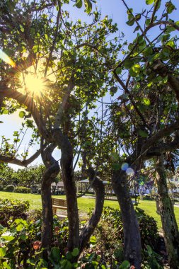 Humiston Beach Parkı, Vero Sahili, Florida
