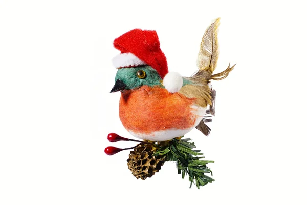 Noel Baba'nın kırmızı şapkalı bir kuş. Bir Noel ağacı wi üzerinde oturan