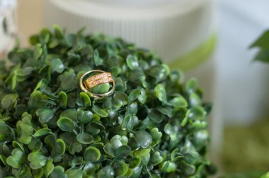 Yüzük çift için. Malezya Malay düğün töreni.