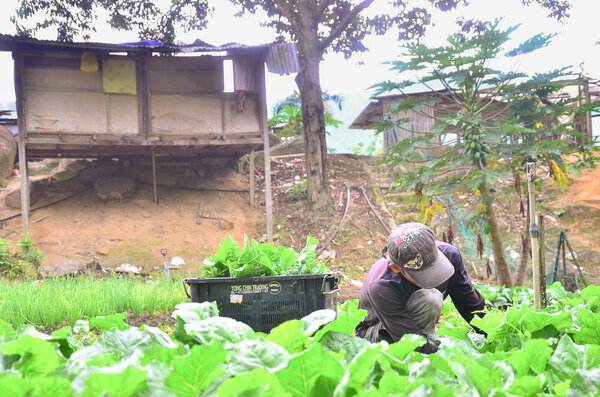 Фермер за работой
