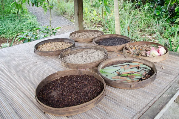 Caffè Luwak a Bali, Indonesia. Chicco di caffè in fabbricazione . — Foto Stock