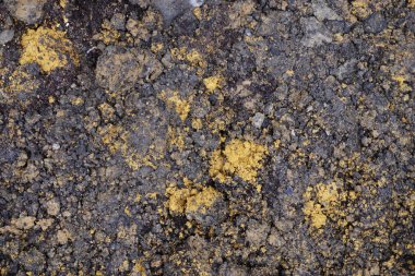 Kir ve toprak. Sarı nokta ile kahverengi kir.