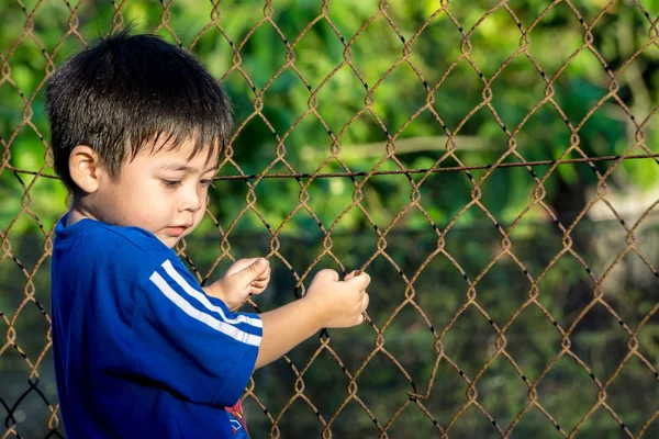 Kid holding the fence outdoor — Stock Photo, Image
