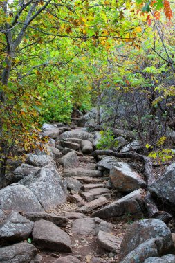 Yürüyüşteki en güzel şeyler genellikle rhe patikasıdır. Özellikle Oklahoma 'da yürüyüş yapıyorsan. Şaka yapıyorum, Oklahoma muhteşem.