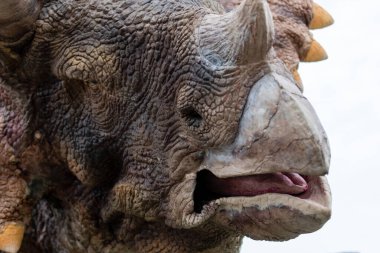 İsveç, Göteborg, Heden 'deki megalodon yaratılış sergisinde çekildi.