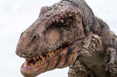 İsveç, Göteborg, Heden 'deki megalodon yaratılış sergisinde çekildi.