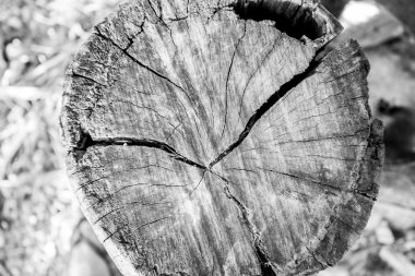 Vintage eski ahşap yüzüğü