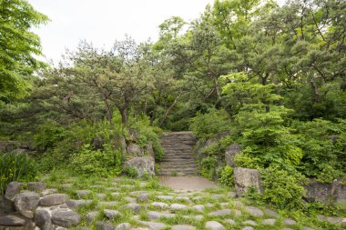 Seoul, Güney Kore - Mayıs 24:Korea ağaçlar City. 24 Mayıs 2016 yılında 