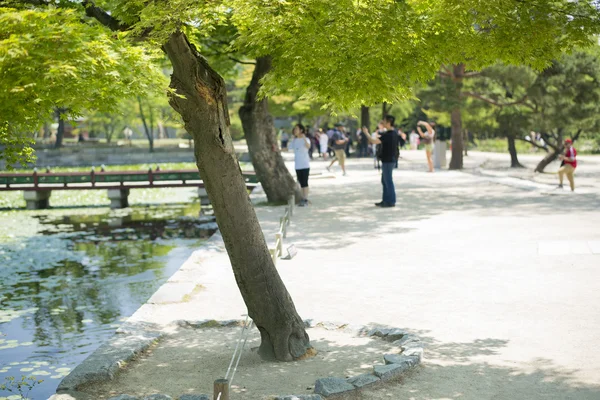 Seoul, Zuid-Korea - mei 24:Korea bomen in de stad. Mei 24, 2016 in — Stockfoto