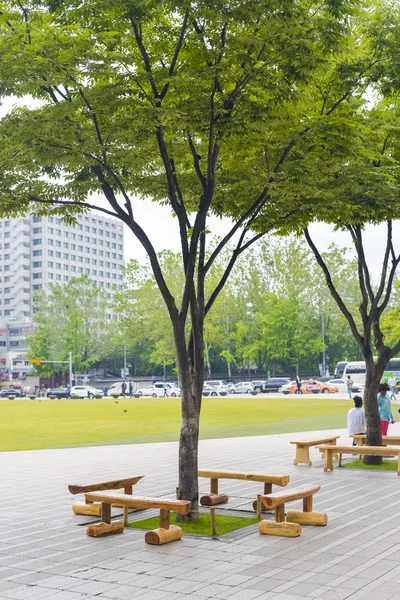 Seoul, Zuid-Korea - mei 24:Korea bomen in de stad. Mei 24, 2016 in — Stockfoto