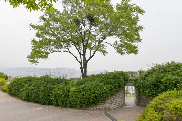 Fortaleza de Seul na montanha Naksan — Fotografia de Stock