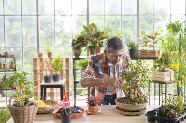 Happy senior asian retired man   is relaxing  and enjoying  leisure activity in garden at home.