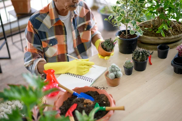 Happy Senior Asia Pensiunan Manusia Mengumpulkan Data Tentang Kaktus Kebun — Stok Foto