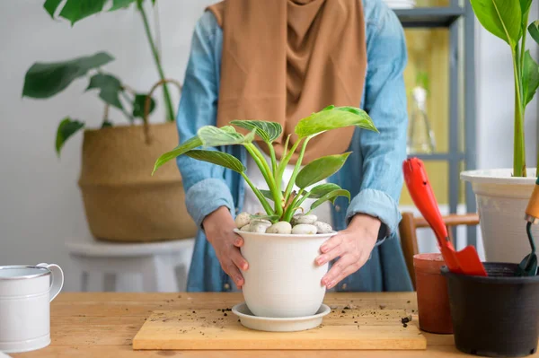 Seorang Wanita Muslim Muda Yang Bahagia Menikmati Dan Rileks Kegiatan — Stok Foto