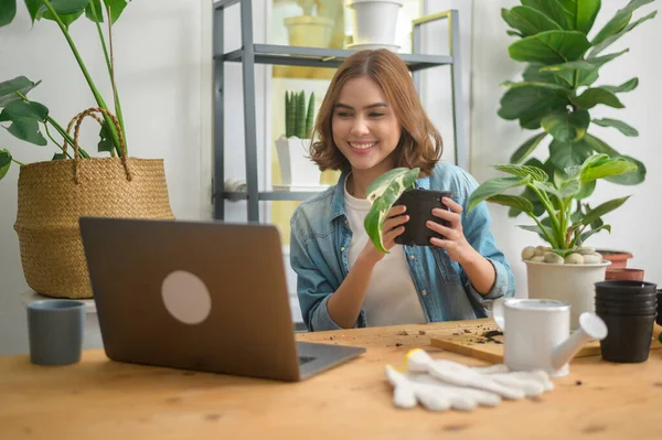 Mladá Žena Podnikatel Pracující Notebookem Představuje Pokojové Rostliny Během Online — Stock fotografie