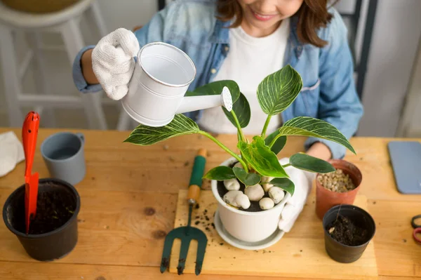 Mutlu, genç ve güzel bir kadının bahçedeki eğlence ve rahatlama aktivitelerinin en üst görüntüsü. 