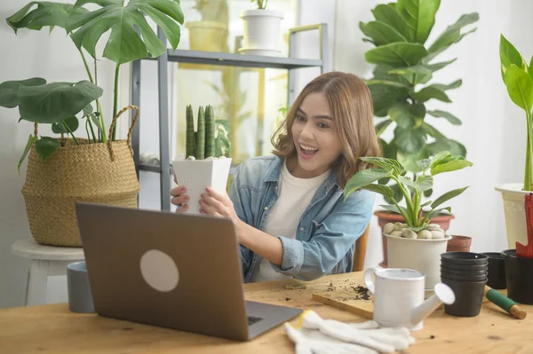 Mladá Žena Podnikatel Pracující Notebookem Představuje Pokojové Rostliny Během Online — Stock fotografie