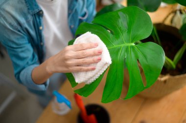 Mutlu, genç ve güzel bir kadının bahçedeki eğlence ve rahatlama aktivitelerinin en üst görüntüsü. 