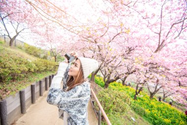Çekici kadın Japonya, Matsuda 'da Kiraz Çiçeği ile eğleniyor.