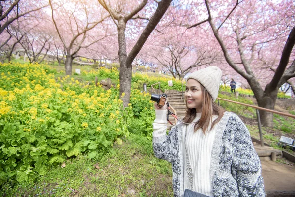 Atrakcyjna Kobieta Zabawia Się Cherry Blossom Matsuda Japonia — Zdjęcie stockowe