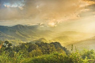 phusoidao Milli Parkı Tayland doğal manzaralar