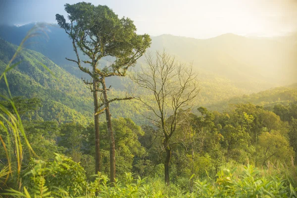 Paisagens naturais — Fotografia de Stock