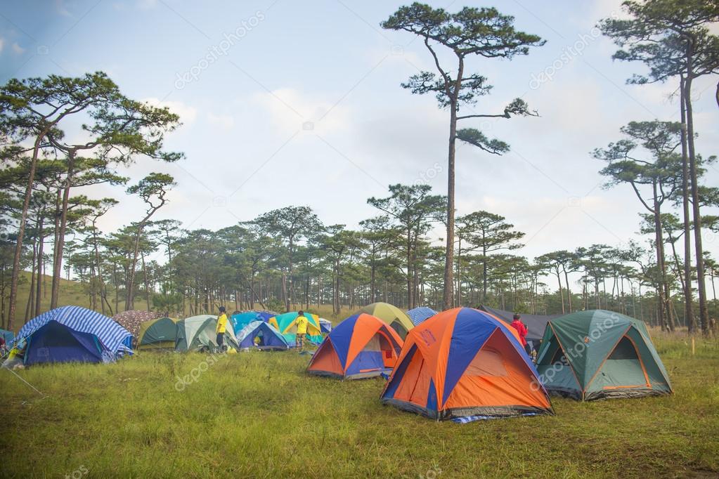 Campsite