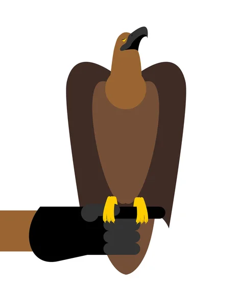 Caccia al falco. Uccelli rapaci seduti a portata di mano. Caccia addestrata b — Vettoriale Stock