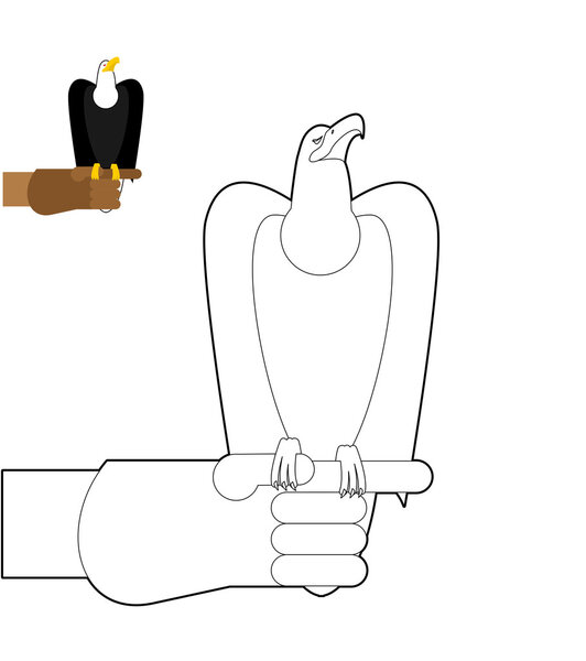 Falconry coloring book. Bird predator sitting on hand in  linear