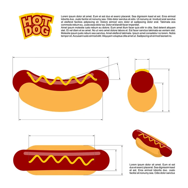 Hot dog infographics standard. reference  sizes of fast food. Dr — Stock Vector