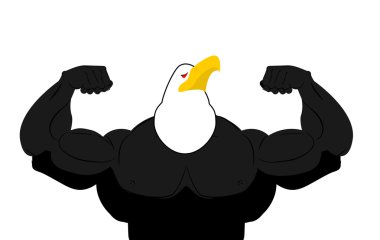 Güçlü Kartal atleti. fitness kuş. Vahşi hayvan vücut geliştirmeci ile